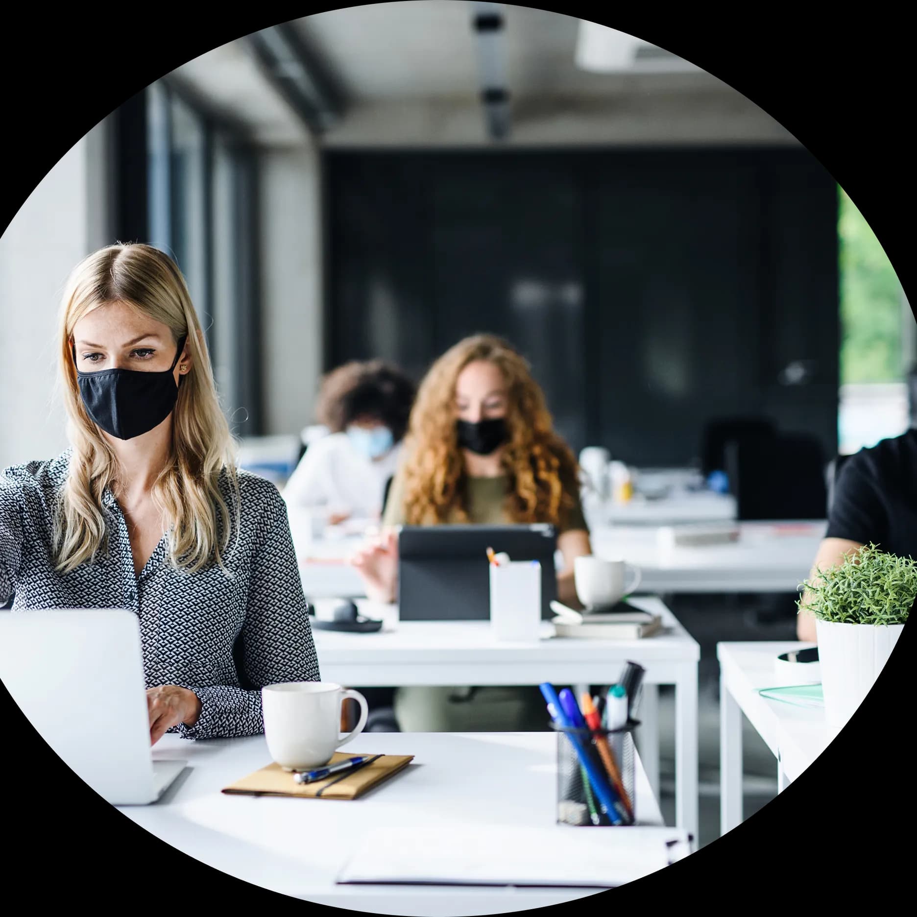 specific section image